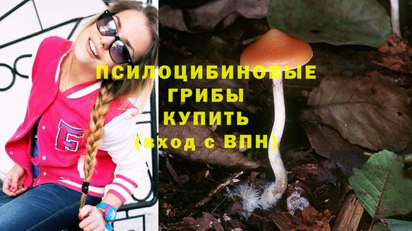 кокс Алексин