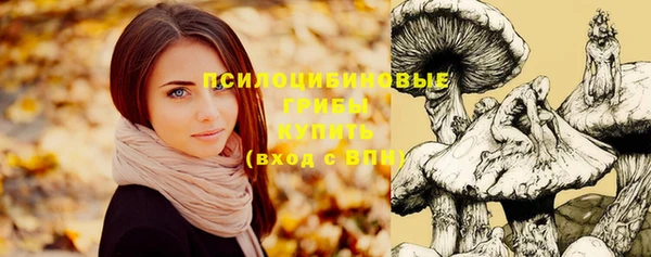 прущая мука Алексеевка
